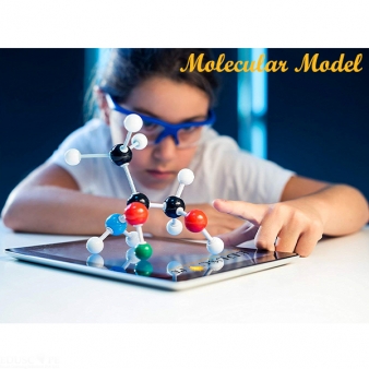 Molecular Model